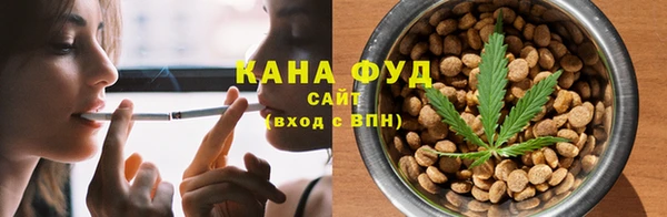 гидра Вязьма