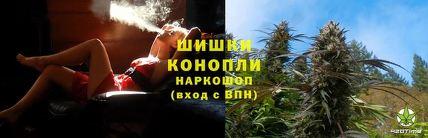дживик Горняк