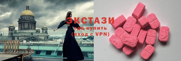 гидра Вязьма