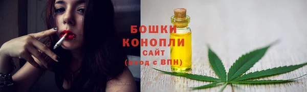 мяу мяу мука Горно-Алтайск