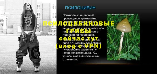 стафф Горнозаводск