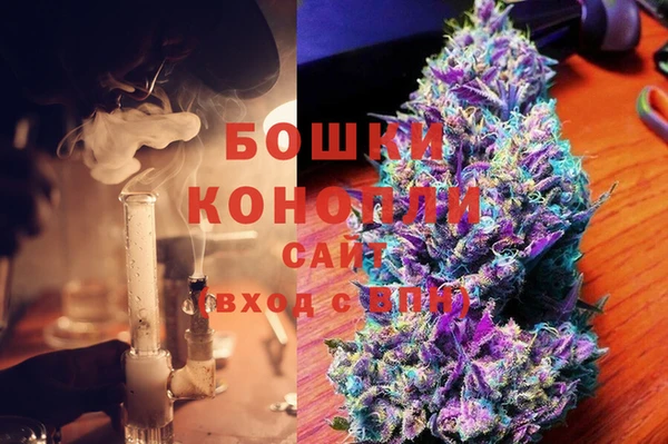 гидра Вязьма